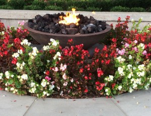 Eternal Flame Martin Luther King Jr. National Historic Site